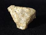 Goniophyllum pyramidale (HISINGER 1831) - Bild © FossNet FossilienStore